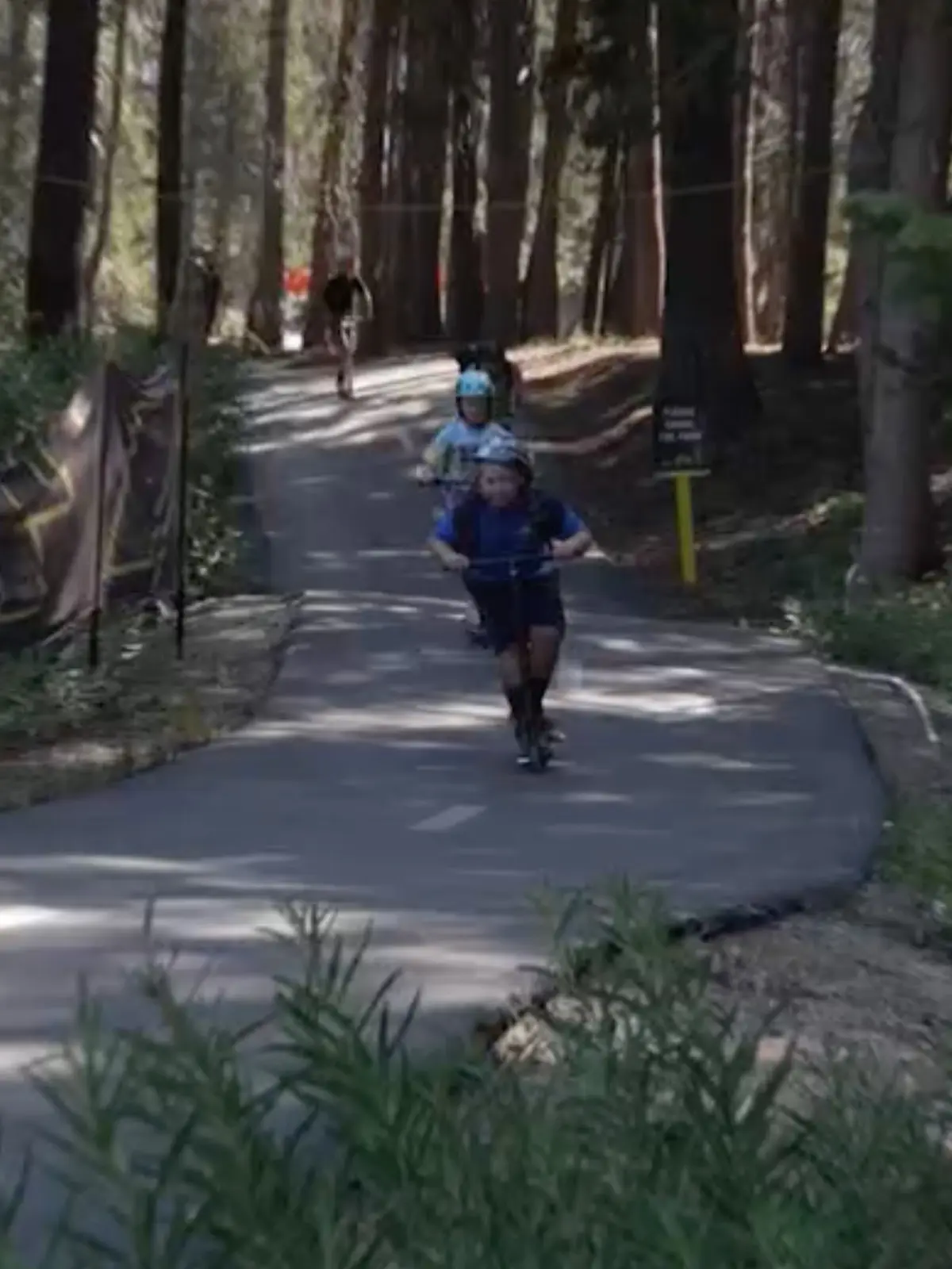 Kids riding skateboards down The Path at Summer Camp at Woodward Tahoe